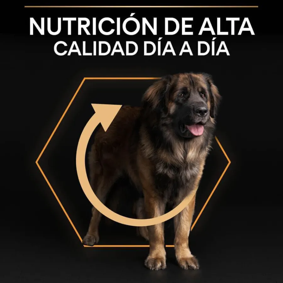 Pro Plan Large Robust Adult pienso para perros Outlet