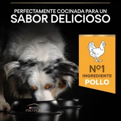 Pro Plan Medium Adult Pollo pienso para perros Outlet