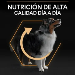 Pro Plan Medium Adult Pollo pienso para perros Outlet