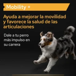 Pro Plan Mobility+ Suplemento para perros Discount