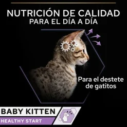 Pro Plan Mousse Baby Kitten Pollo Lata para gatitos