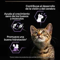 Pro Plan Mousse Baby Kitten Pollo Lata para gatitos
