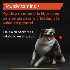Pro Plan Multivitamin Suplemento para perros Sale