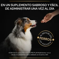 Pro Plan Multivitamin Suplemento para perros Sale