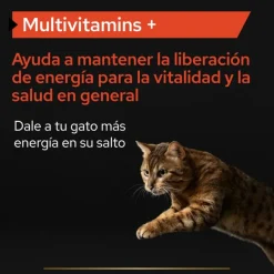 Pro Plan Multivitamins + para gatos New