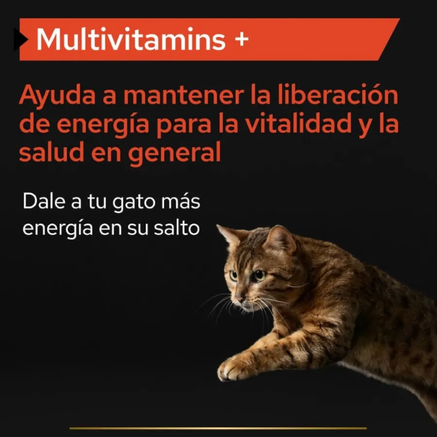Pro Plan Multivitamins + para gatos New