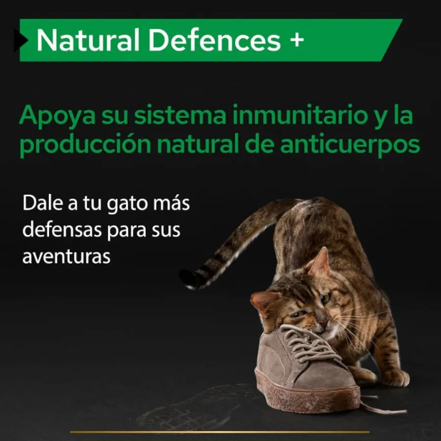 Pro Plan Natural Defences + para gatos Online
