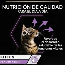 Pro Plan NutriSavour Feline Kitten Pavo en salsa sobre para gatitos Clearance
