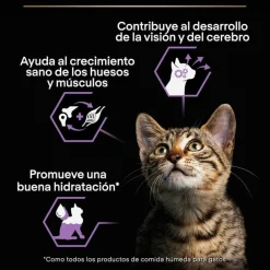 Pro Plan NutriSavour Feline Kitten Pavo en salsa sobre para gatitos Clearance