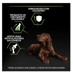 Pro Plan Puppy Large Athletic Pollo pienso para Cachorros Discount