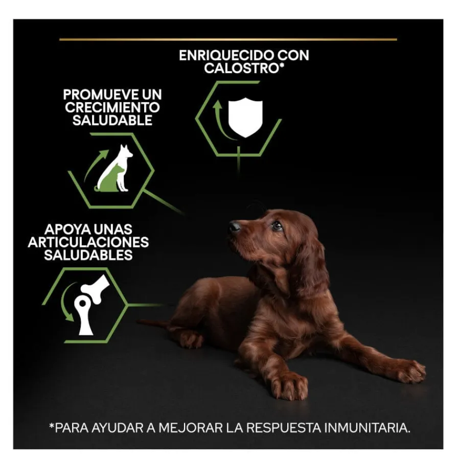 Pro Plan Puppy Large Athletic Pollo pienso para Cachorros Discount