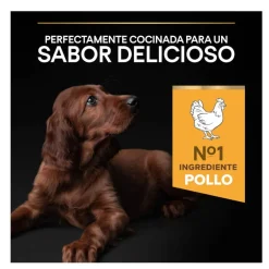 Pro Plan Puppy Large Athletic Pollo pienso para Cachorros Discount