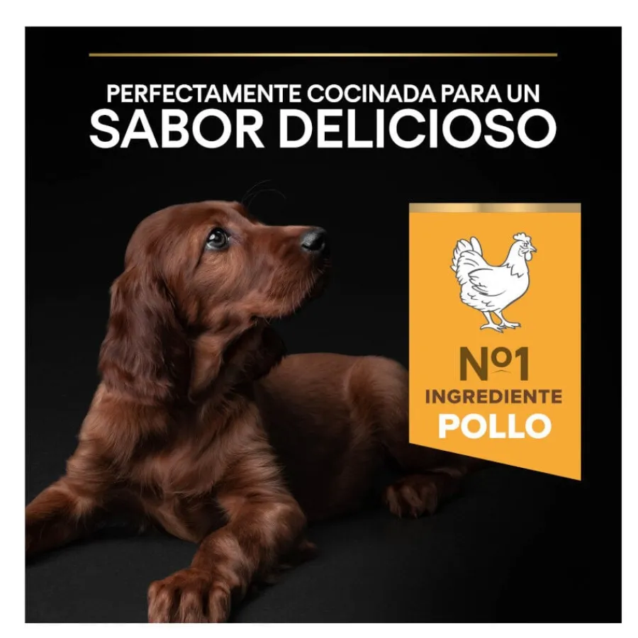 Pro Plan Puppy Large Athletic Pollo pienso para Cachorros Discount