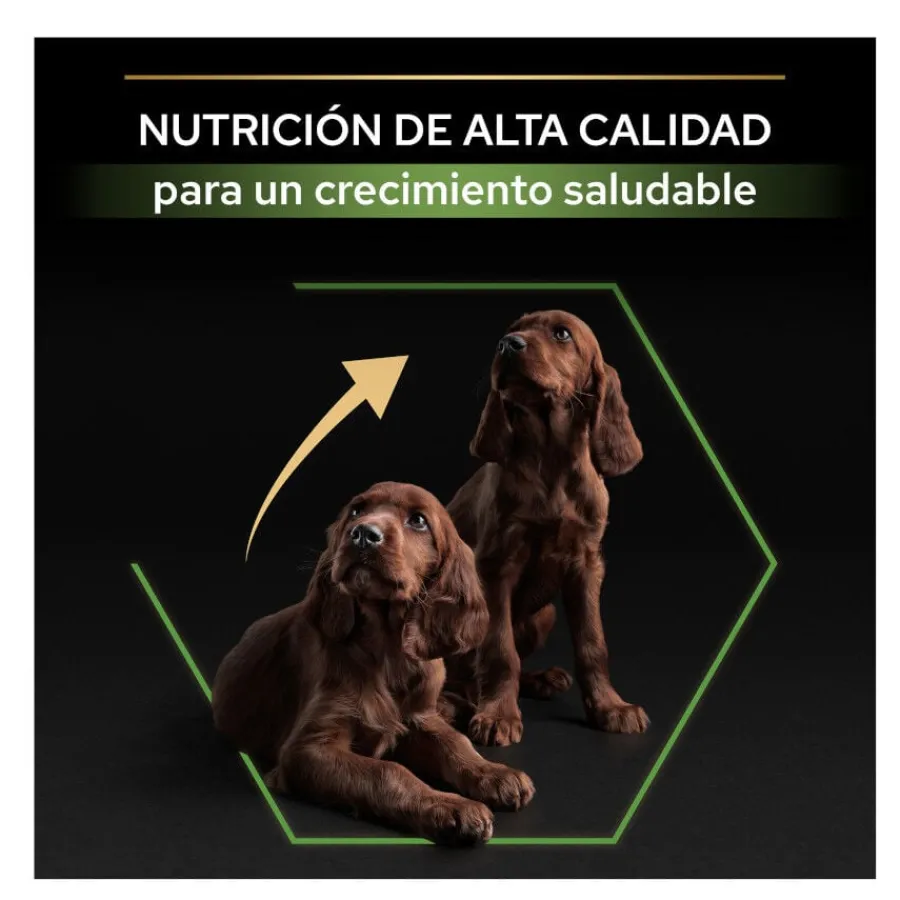 Pro Plan Puppy Large Athletic Pollo pienso para Cachorros Discount