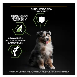 Pro Plan Puppy Medium Pollo pienso para Cachorros Best