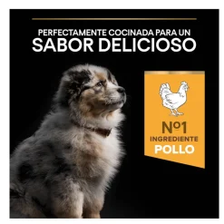 Pro Plan Puppy Medium Pollo pienso para Cachorros Best