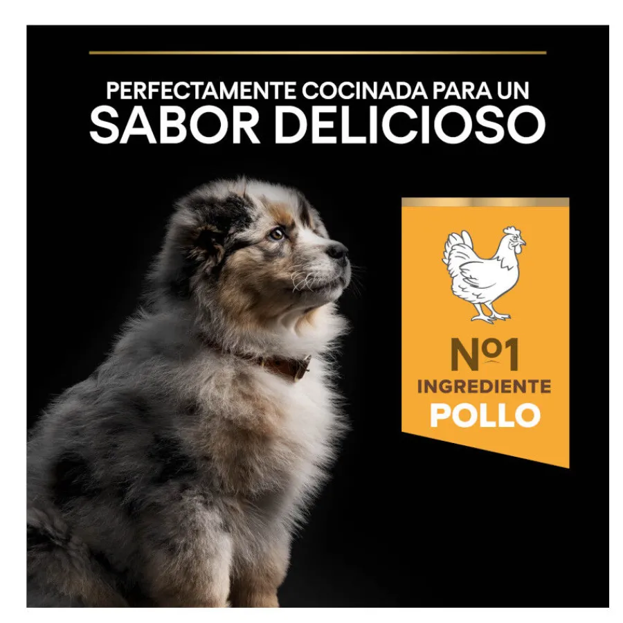 Pro Plan Puppy Medium Pollo pienso para Cachorros Best