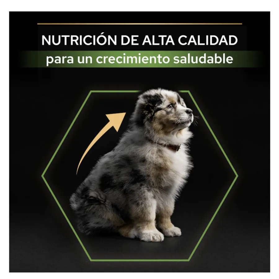 Pro Plan Puppy Medium Pollo pienso para Cachorros Best