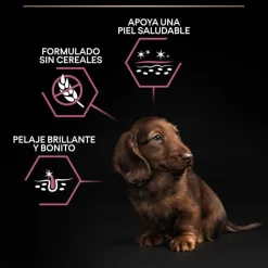 Pro Plan Puppy Small y Mini Salmón pienso para Perros Piel Hot
