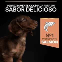 Pro Plan Puppy Small y Mini Salmón pienso para Perros Piel Hot