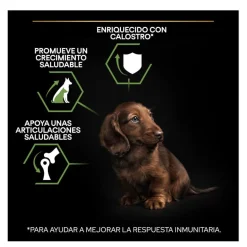 Pro Plan Puppy Small y Mini Pollo pienso para cachorros Clearance