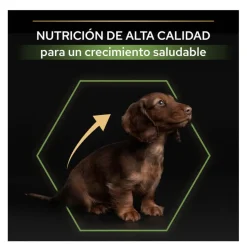 Pro Plan Puppy Small y Mini Pollo pienso para cachorros Clearance