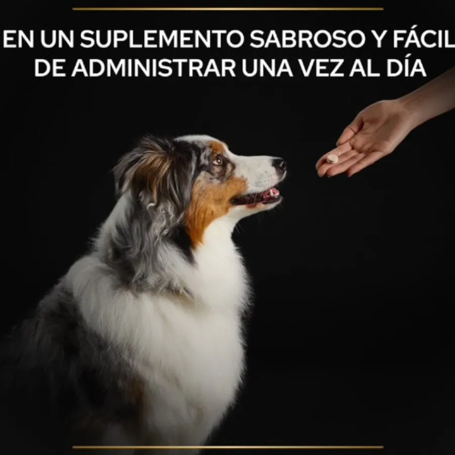 Pro Plan Relax + para perros New