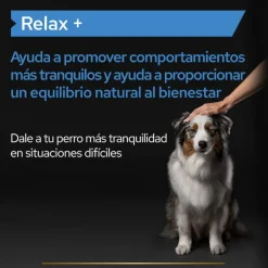 Pro Plan Relax + Suplemento en Aceite para perros New
