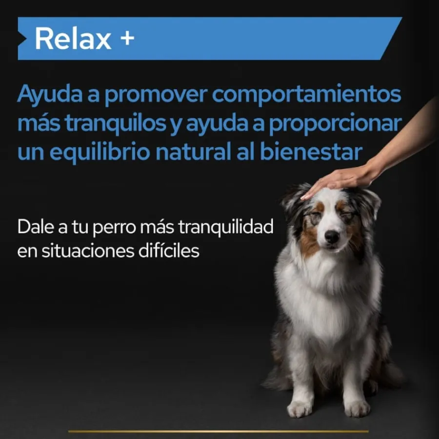 Pro Plan Relax + Suplemento en Aceite para perros New