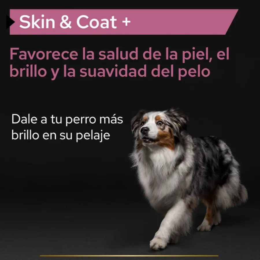 Pro Plan Skin & Coat Suplemento en Aceite para perros Clearance