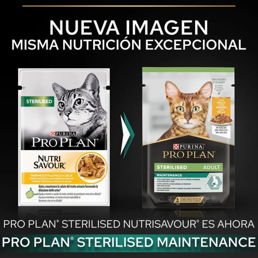 Pro Plan Sterilised Maintenance sobre con Pollo en salsa para gatos Best