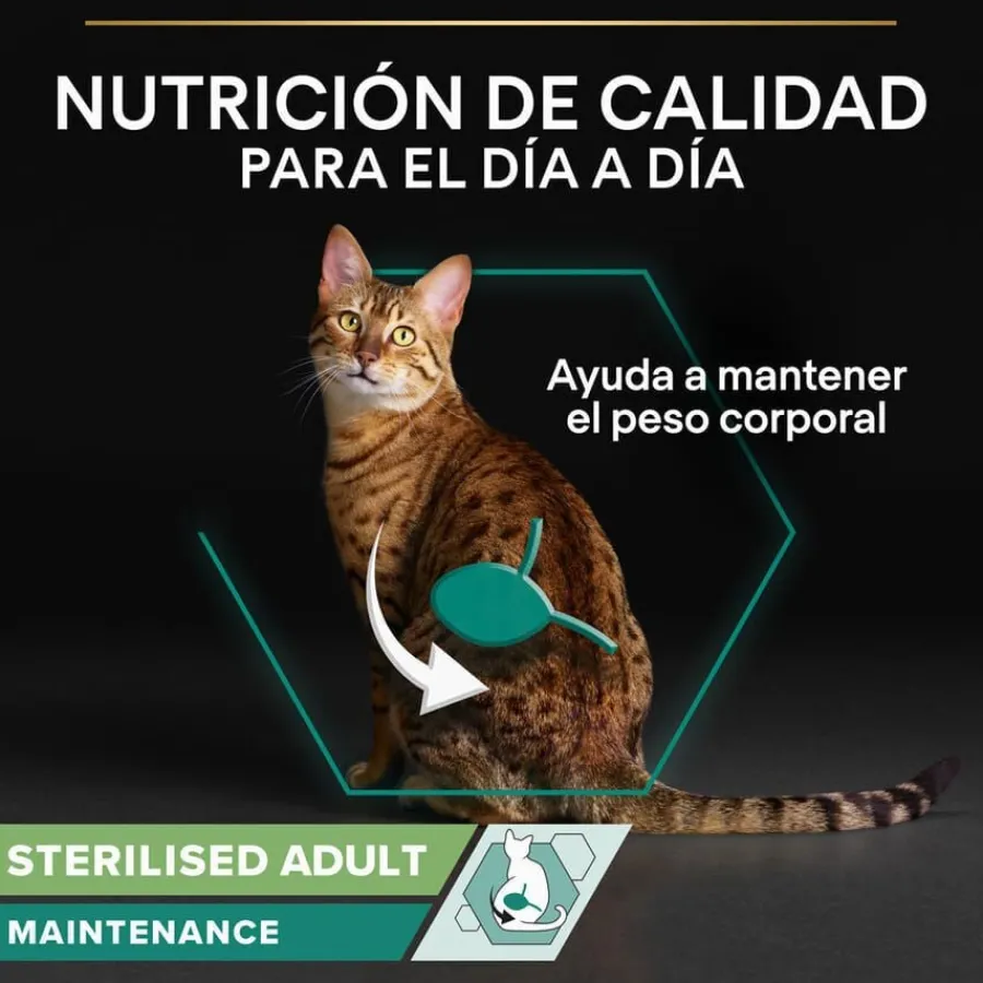 Pro Plan Sterilised Maintenance sobre con Pollo en salsa para gatos Best