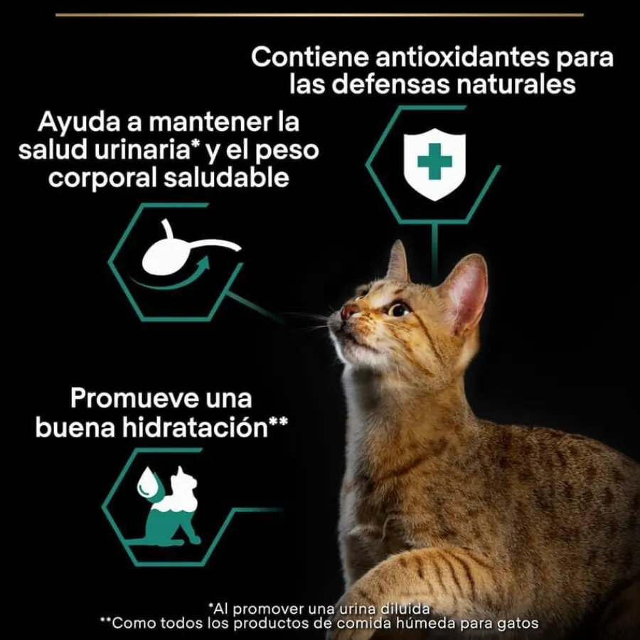 Pro Plan Sterilised Maintenance sobre con Pollo en salsa para gatos Best