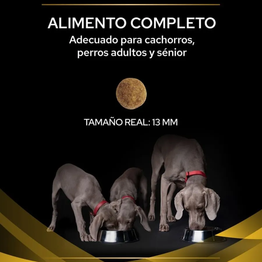 Pro Plan Veterinary Diets Joint Mobility pienso para perros Outlet