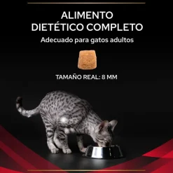 Pro Plan Veterinary Diets Diabetes Management pienso para gatos Sale