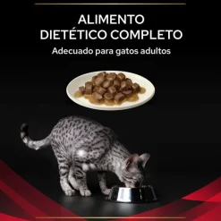 Pro Plan Veterinary Diets Diabetes DM sobres para gatos Discount