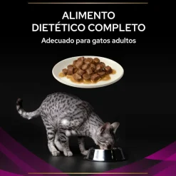 Pro Plan Veterinary Diets St/Ox Urinary Pollo en Salsa sobre para gatos – Multipack Best