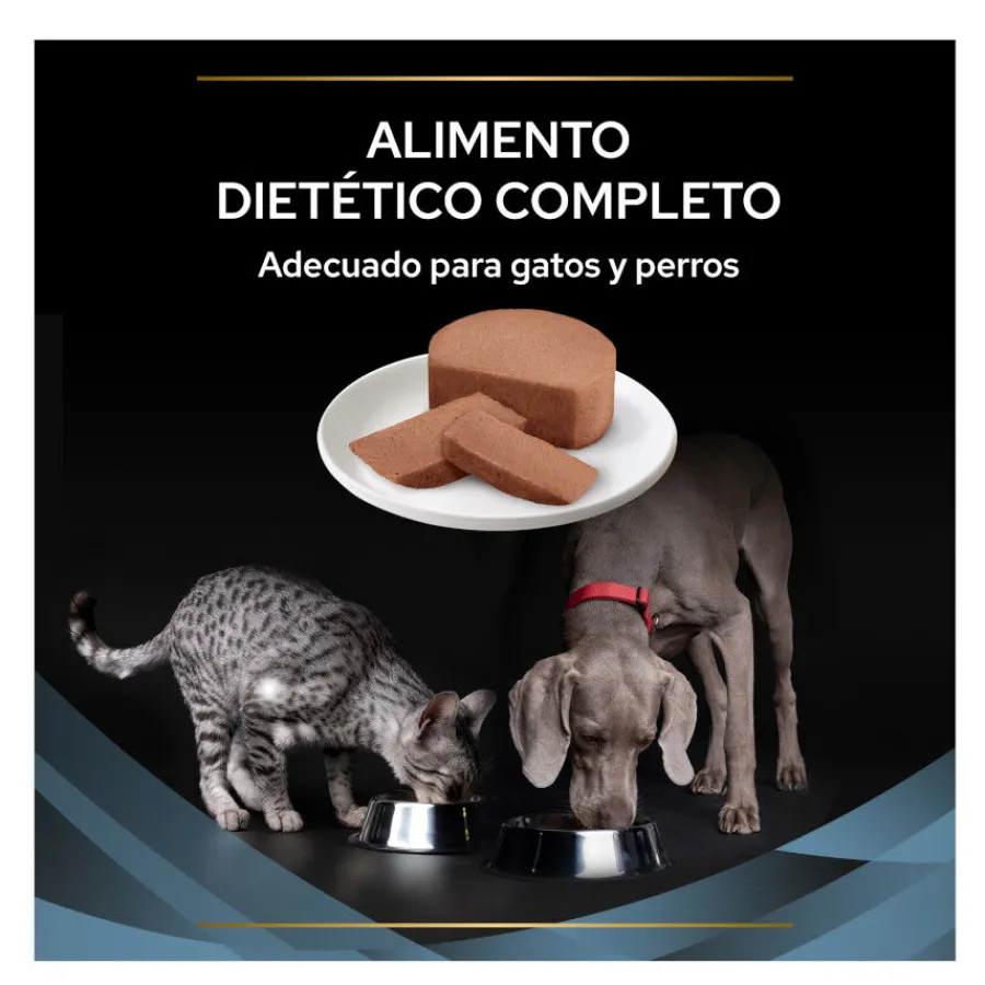 Pro Plan Veterinary Diets Convalescence latas para perros y gatos Hot