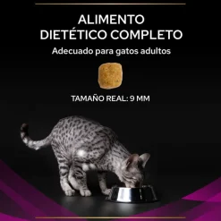 Pro Plan Veterinary Diets Feline UR Urinary pienso para gatos Best