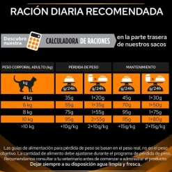 Pro Plan Veterinary Diets Obesity Management pienso para gatos Online
