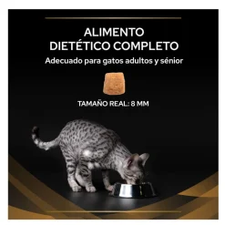 Pro Plan Veterinary Diets Renal Advanced Care pienso para gatos Best