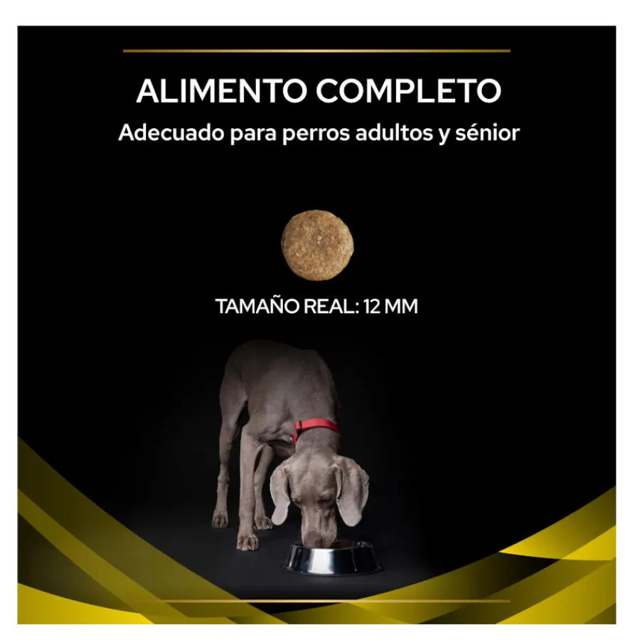 Pro Plan Veterinary Diets NC Neurocare pienso para perros Best