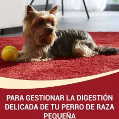 Purina One Adult Mini Bifensis Sensitive Salmón y Arroz pienso para perros New