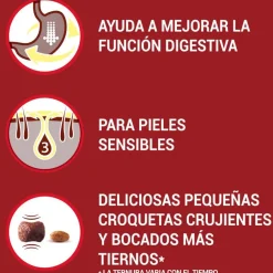 Purina One Adult Mini Bifensis Sensitive Salmón y Arroz pienso para perros New