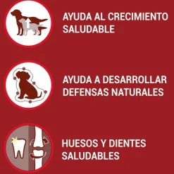 Purina One Junior Bifensis Pollo pienso para perros