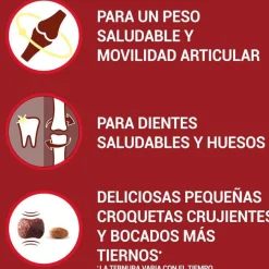 Purina One Senior 8+ Mini pienso para perros Outlet