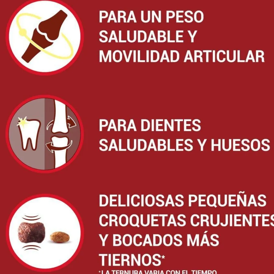 Purina One Senior 8+ Mini pienso para perros Outlet