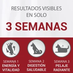 Purina One Senior 8+ Mini pienso para perros Outlet