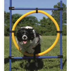 Ribecan Agility Aro de Salto para perros Online
