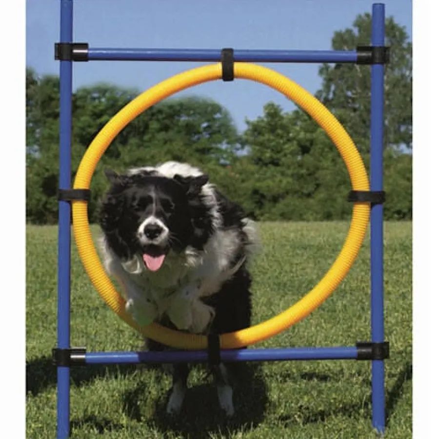 Ribecan Agility Aro de Salto para perros Online